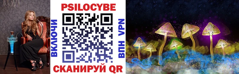 сколько стоит  Пудож  Галлюциногенные грибы Psilocybine cubensis 